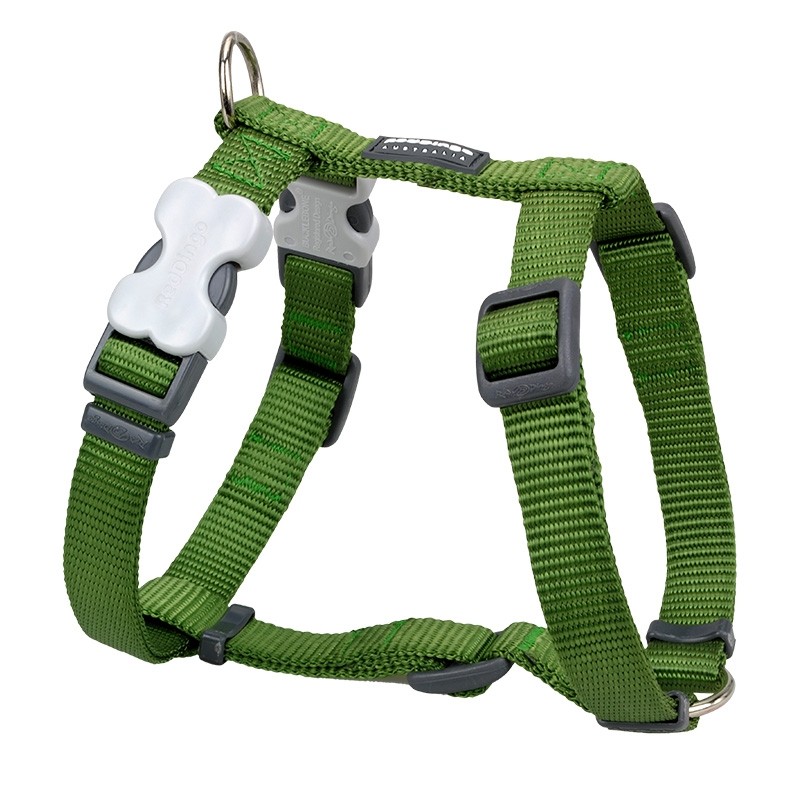 Red Dingo Classic Green Harness for Dogs